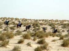 Tunisia-Tunisia-Sahara and Mountain Oasis Trail